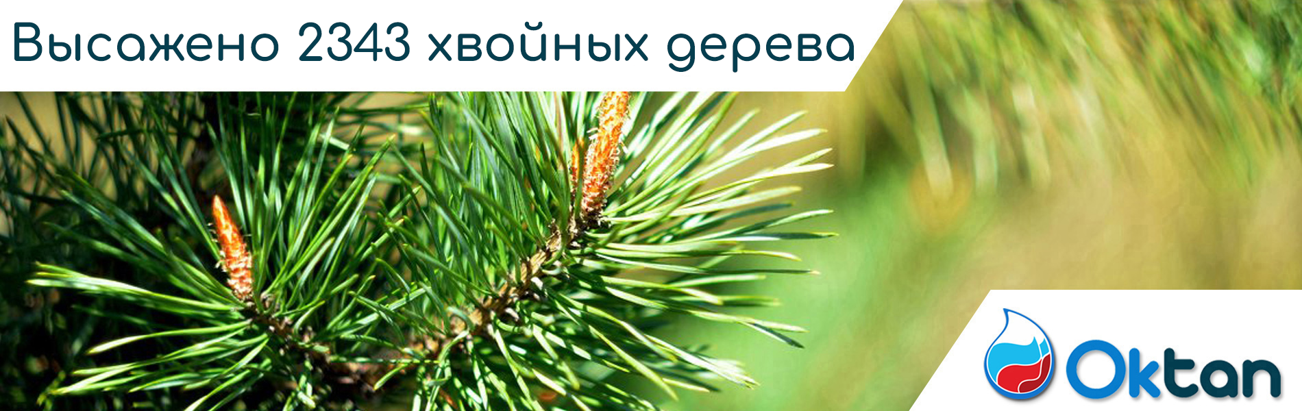 НК Октан - Нефтегазовая компания - Сеть многотопливных АЗС с комплексом  придорожного сервиса в СКФО.